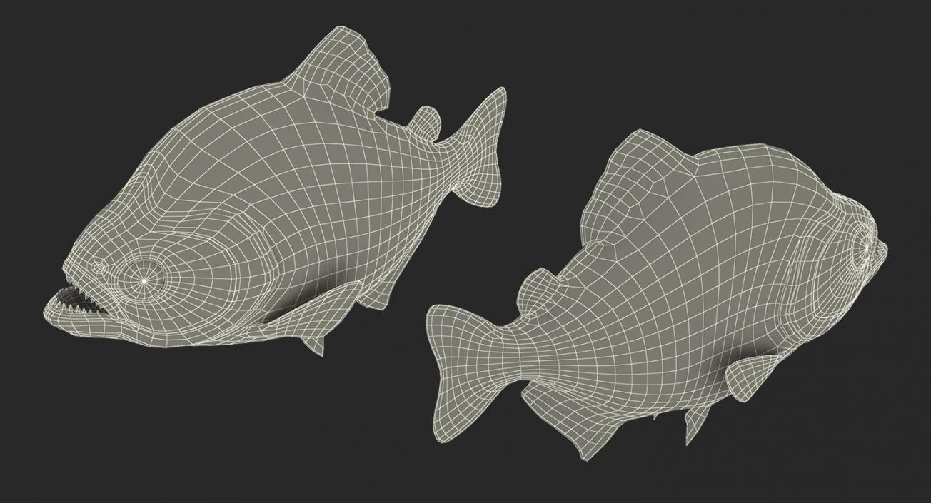 Piranha 3D model