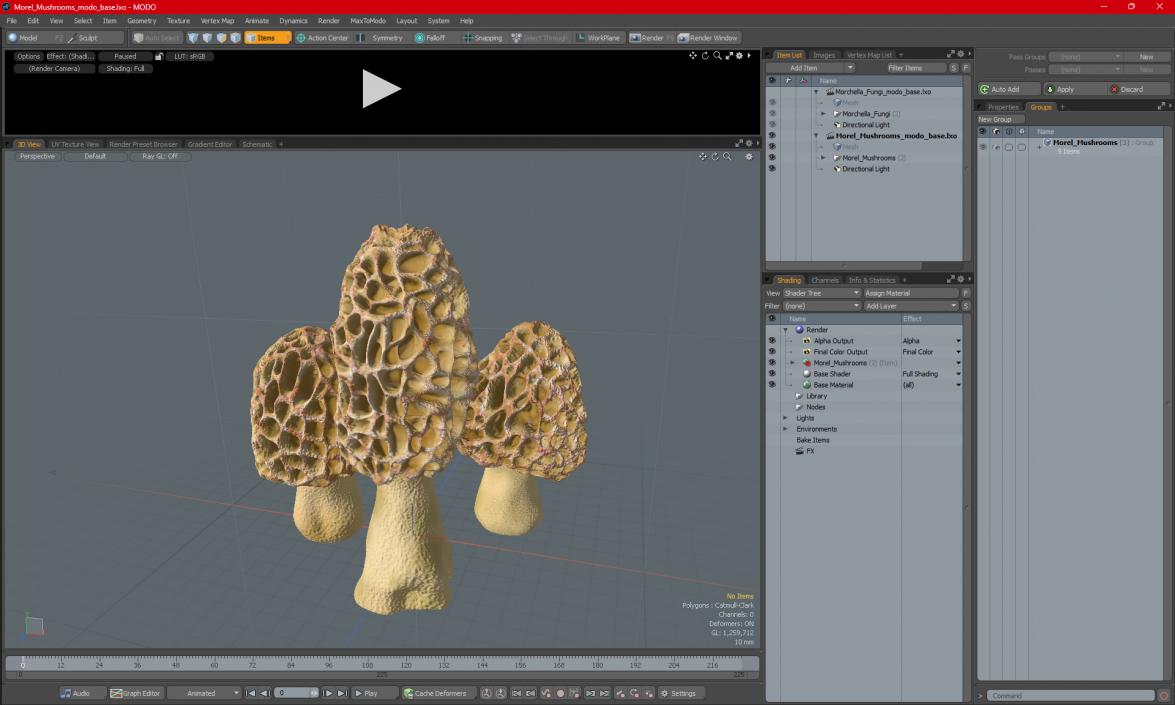 3D model Morel Mushrooms