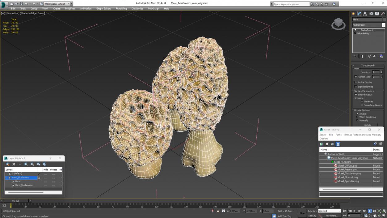 3D model Morel Mushrooms