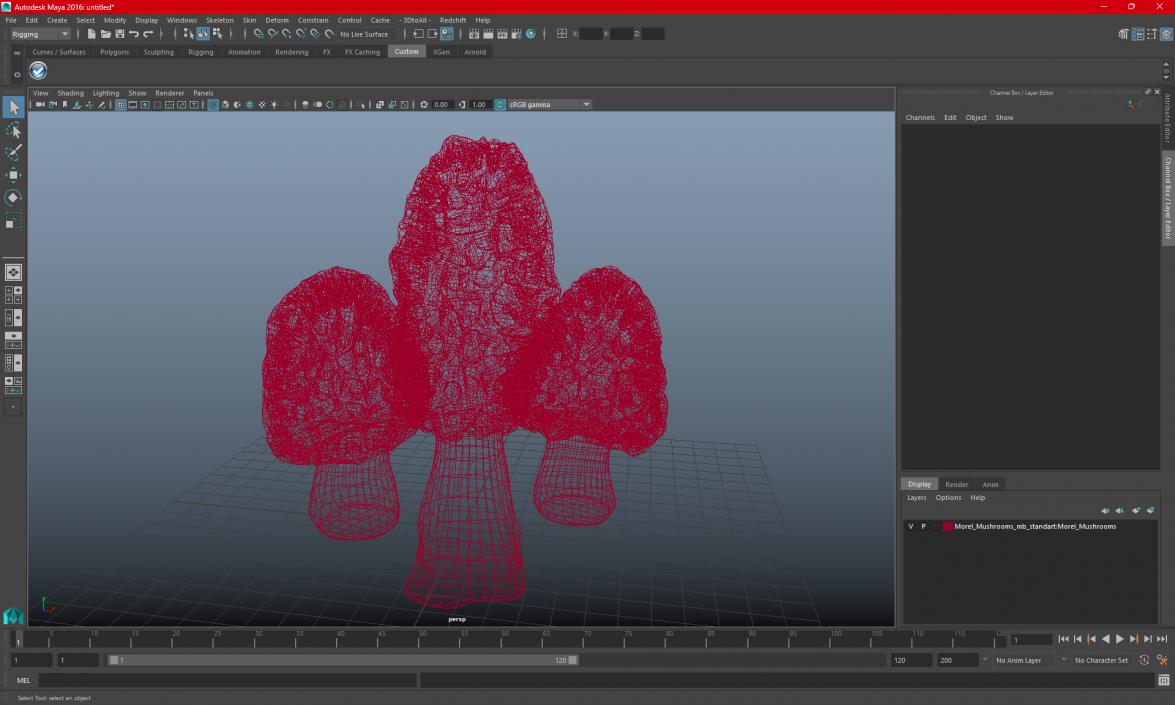 3D model Morel Mushrooms