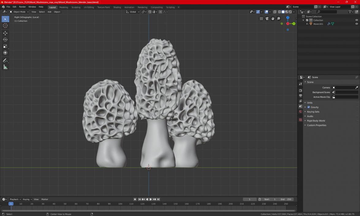 3D model Morel Mushrooms