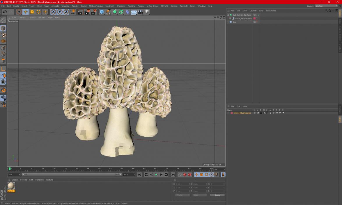 3D model Morel Mushrooms