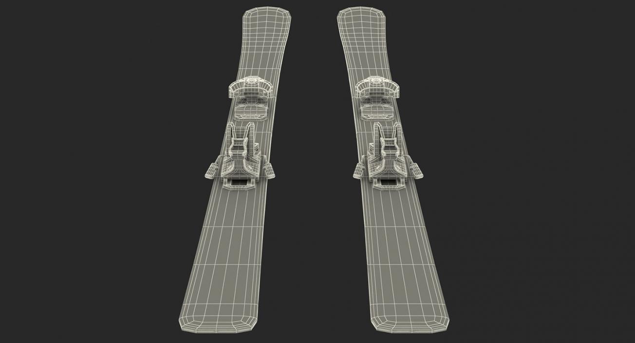 3D Equipment for Skiing 3D Models Collection 2 model