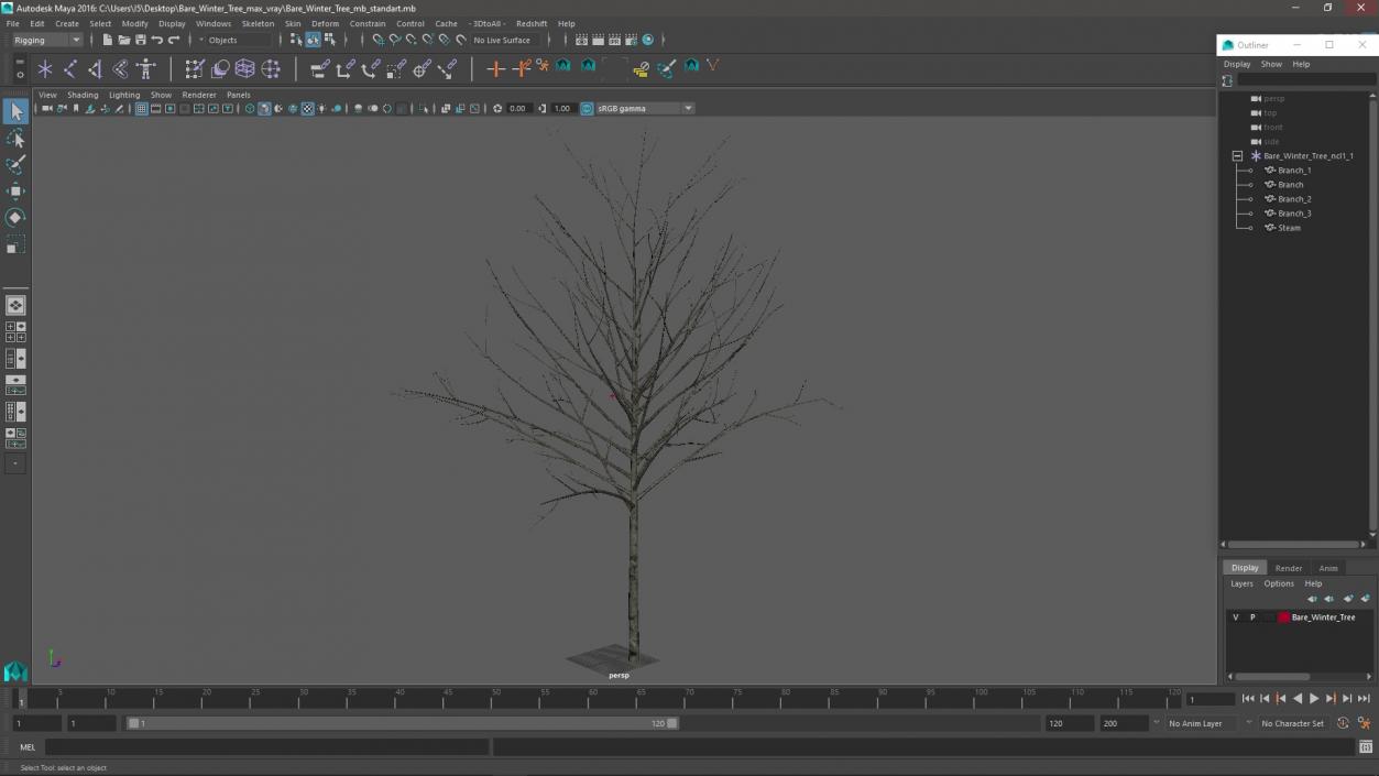 3D Bare Winter Tree