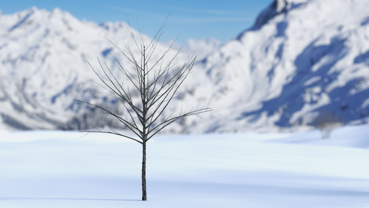 3D Bare Winter Tree