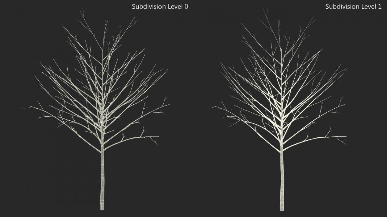 3D Bare Winter Tree