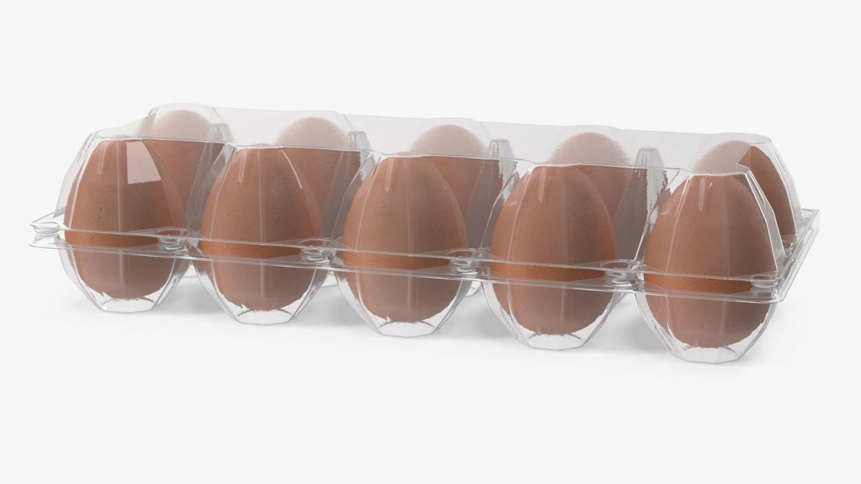 3D Pack of 10 Brown Eggs in Transparent Container