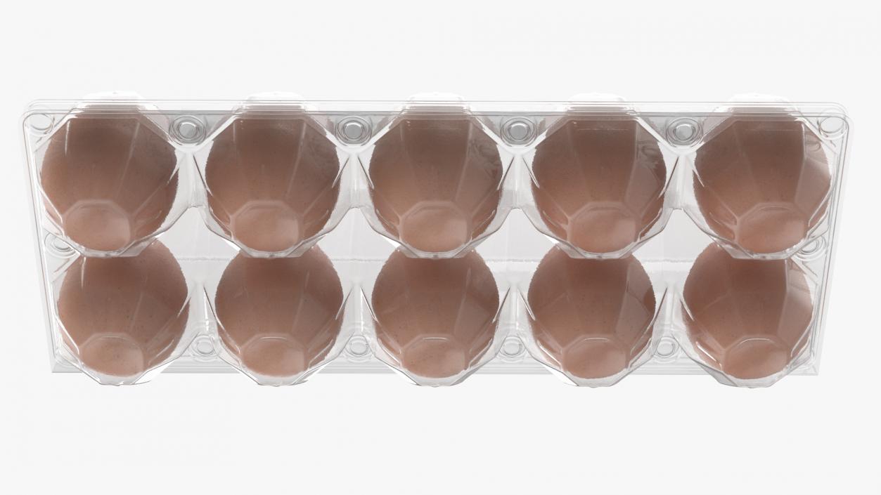 3D Pack of 10 Brown Eggs in Transparent Container