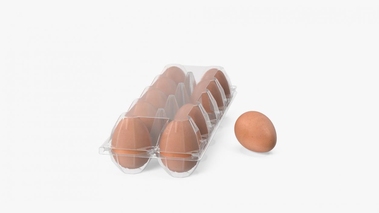 3D Pack of 10 Brown Eggs in Transparent Container