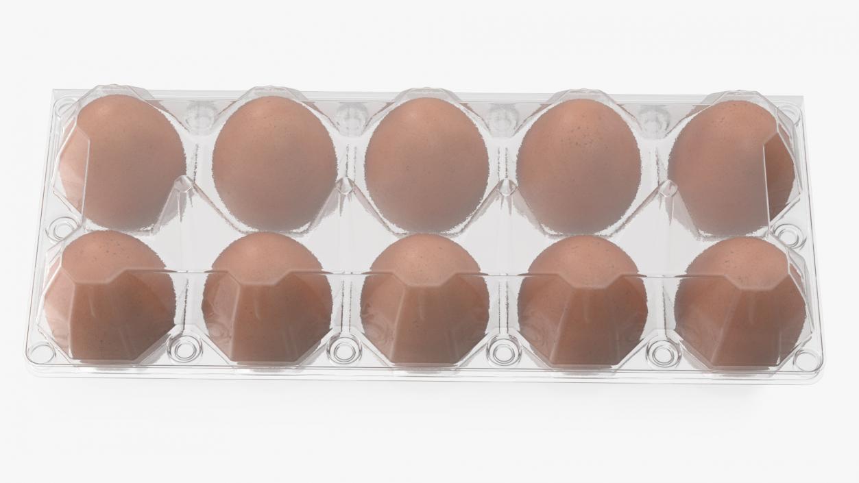 3D Pack of 10 Brown Eggs in Transparent Container