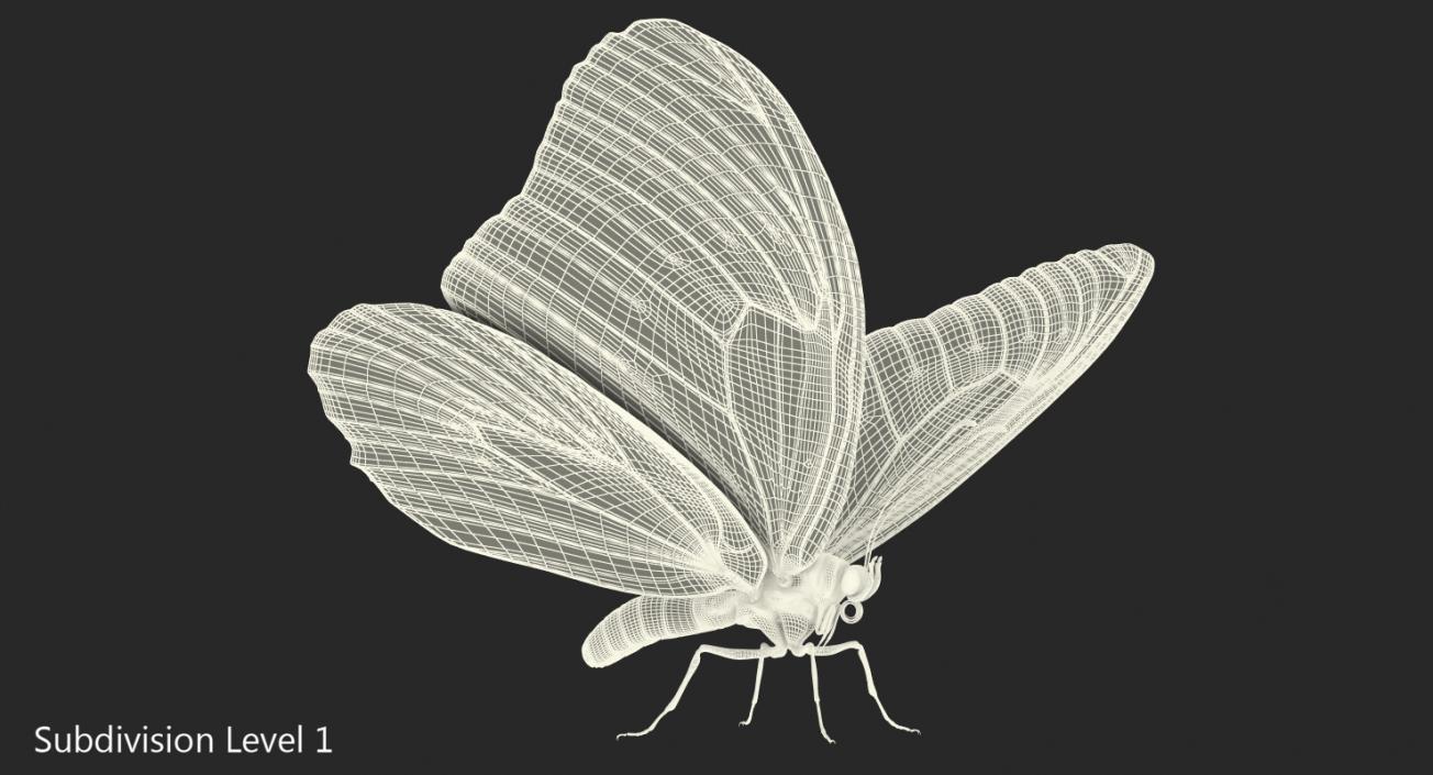 3D Monarch Butterfly with Fur Rigged model