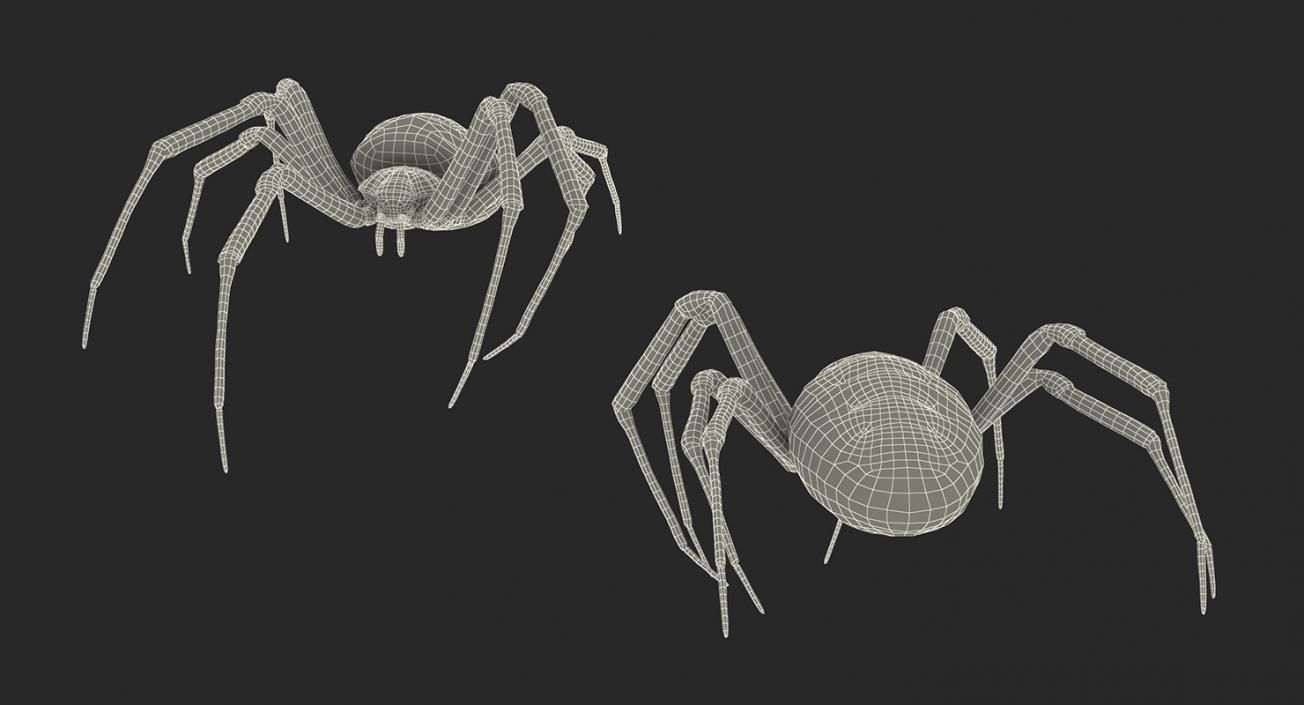 3D model McKinley Spider