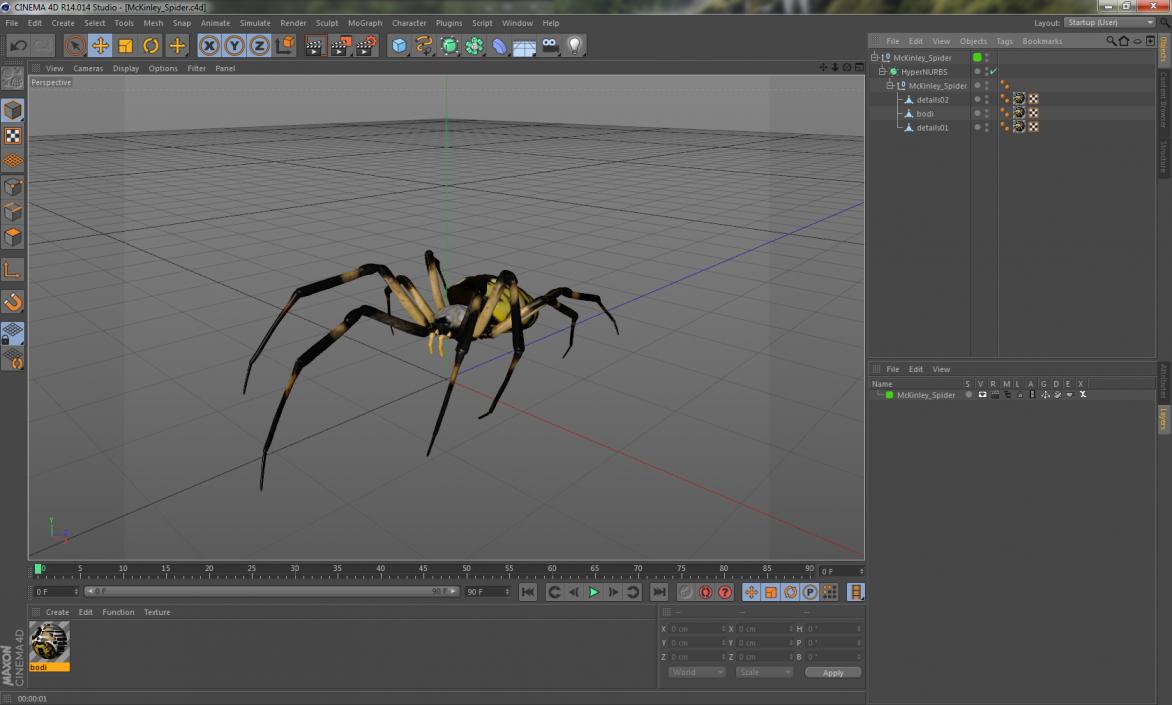 3D model McKinley Spider