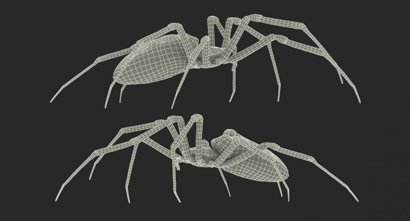 3D model McKinley Spider