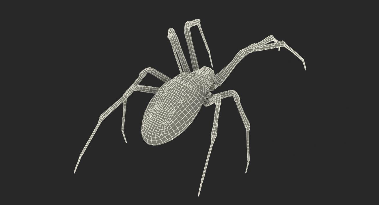 3D model McKinley Spider