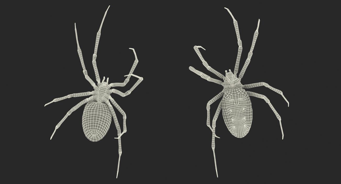 3D model McKinley Spider