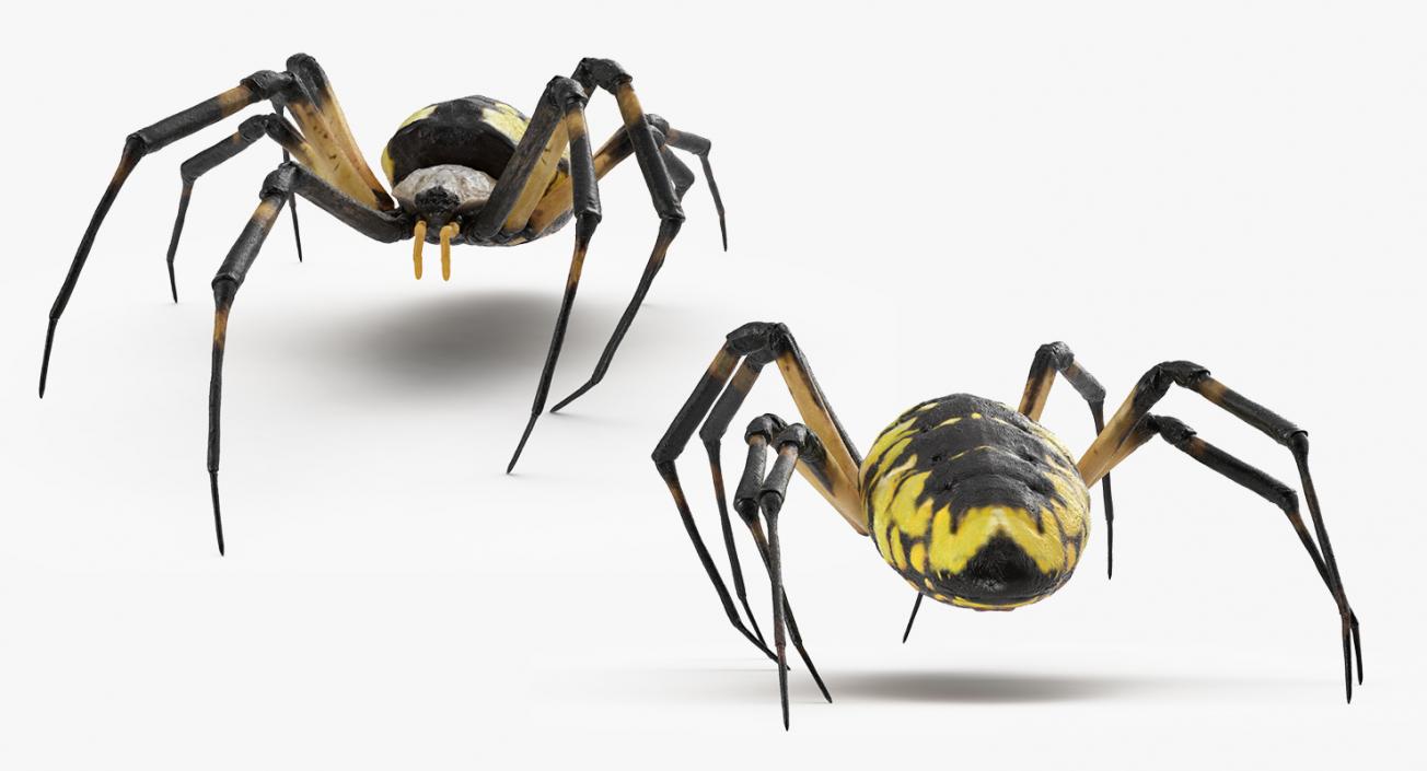 3D model McKinley Spider