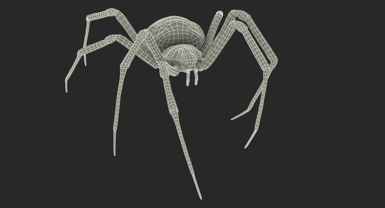 3D model McKinley Spider