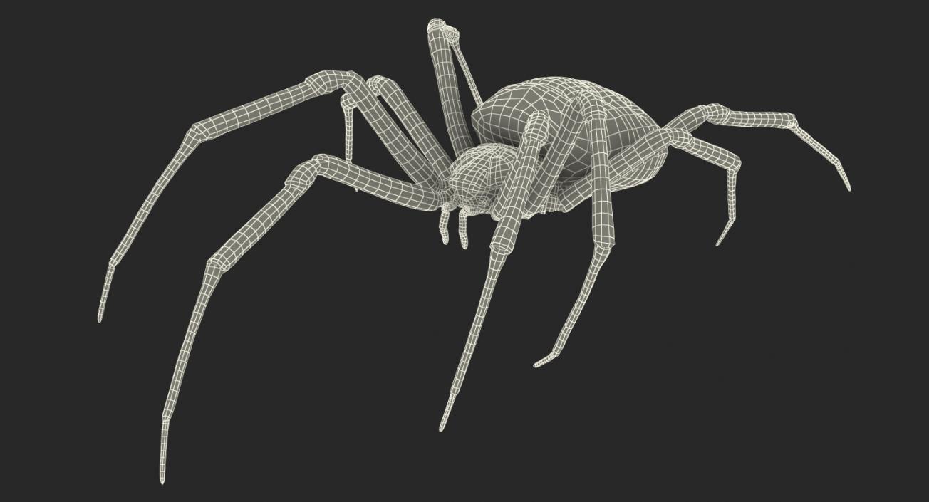 3D model McKinley Spider