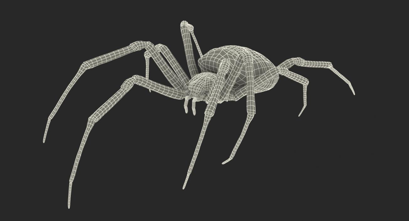 3D model McKinley Spider