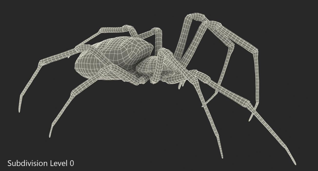 3D model McKinley Spider