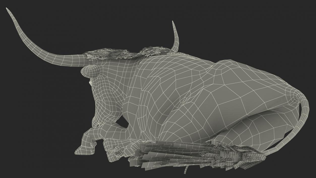 3D Lying Longhorn Bull Mottled Brown model