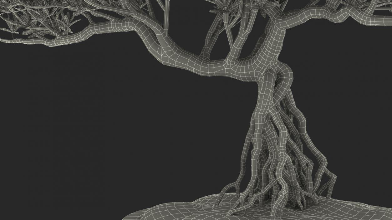 Small Bonsai in Pot 3D model