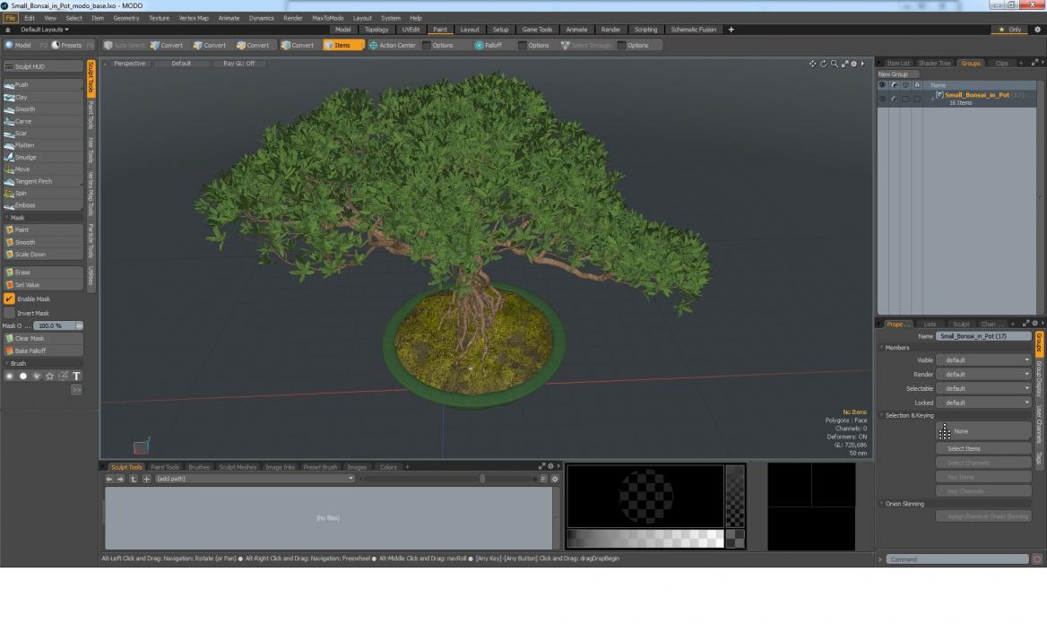 Small Bonsai in Pot 3D model