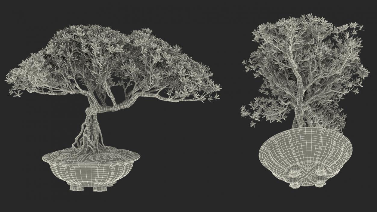 Small Bonsai in Pot 3D model