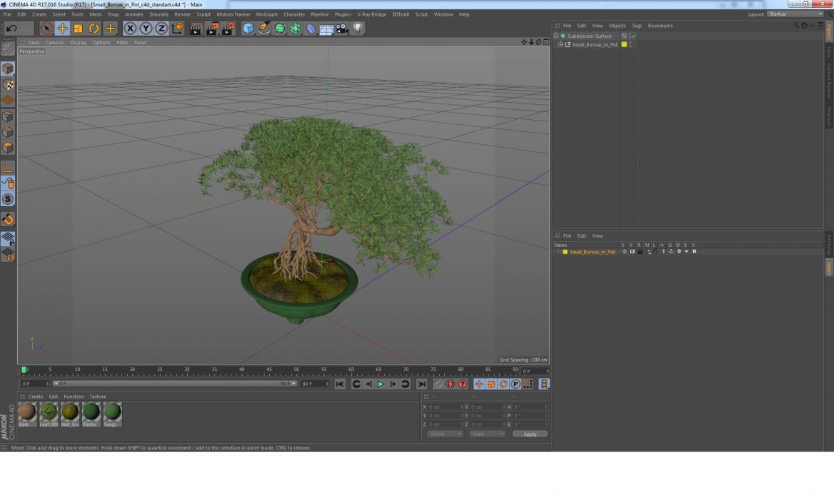 Small Bonsai in Pot 3D model