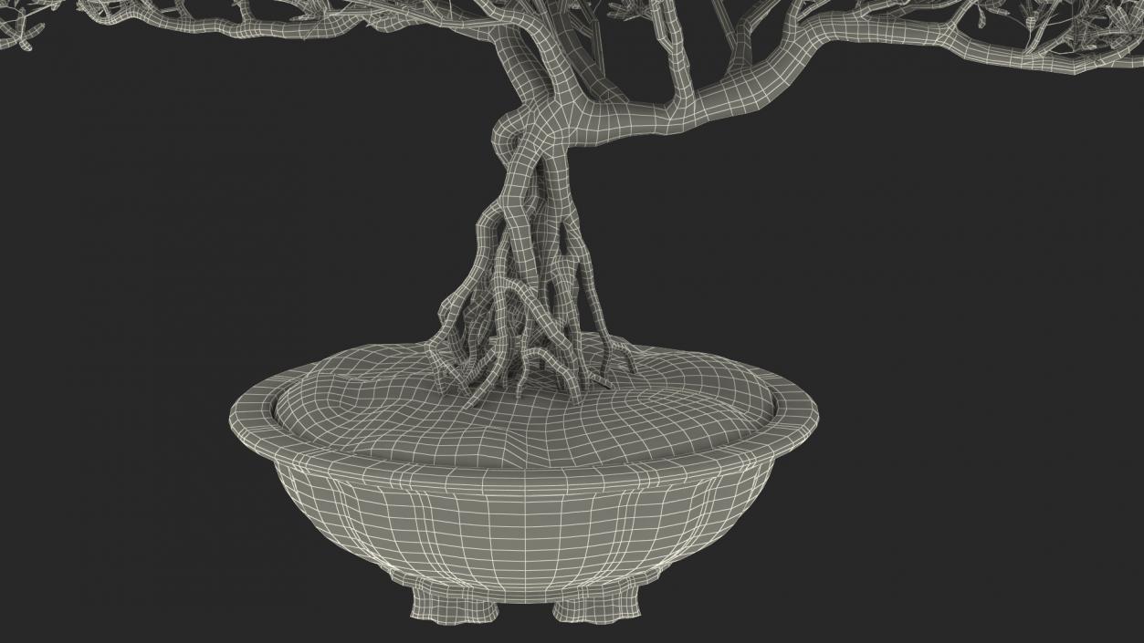 Small Bonsai in Pot 3D model