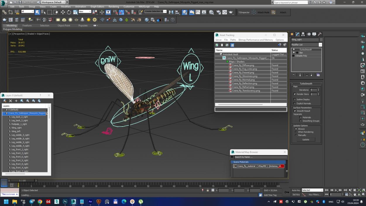 3D Crane Fly Gallinipper Mosquito Rigged for Cinema 4D