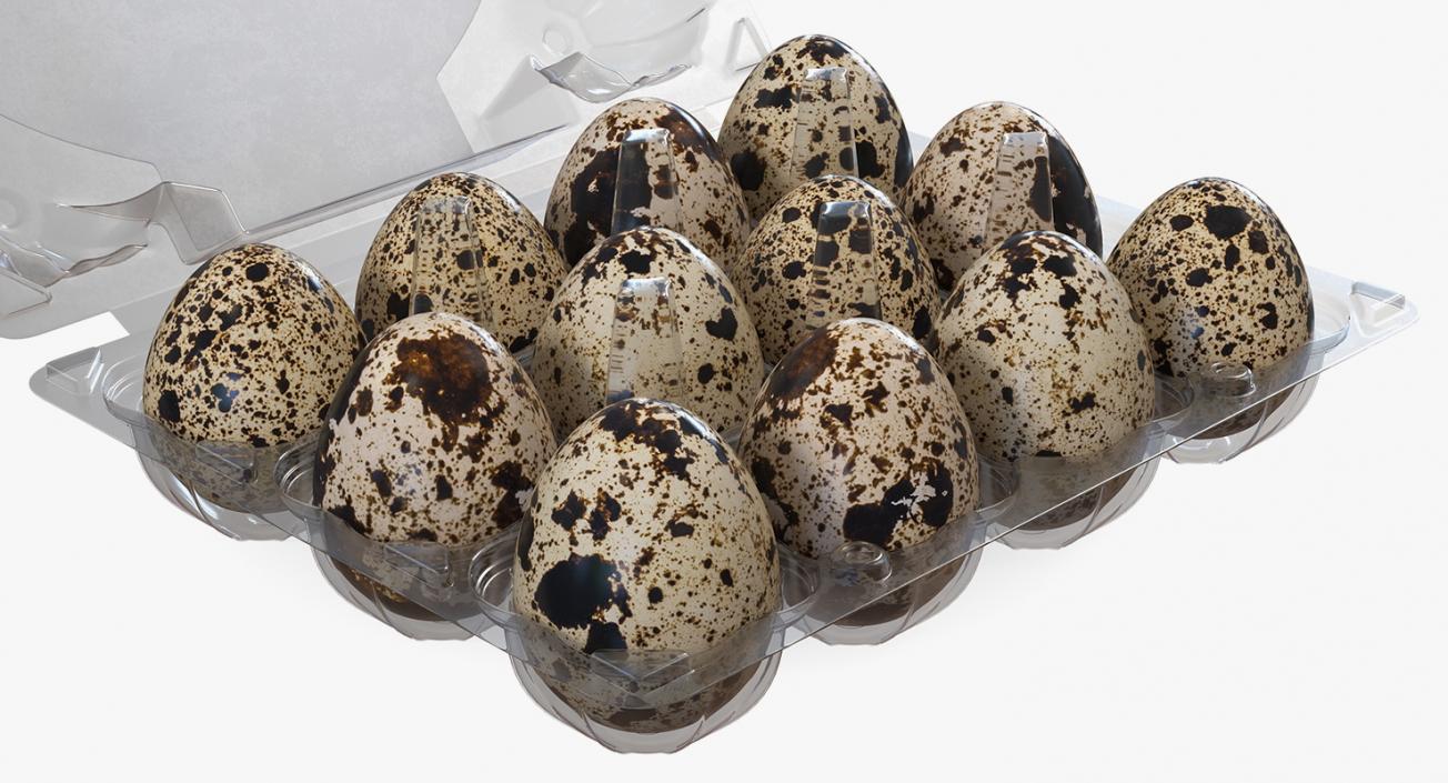 3D Eggs in Package 3D Models Collection