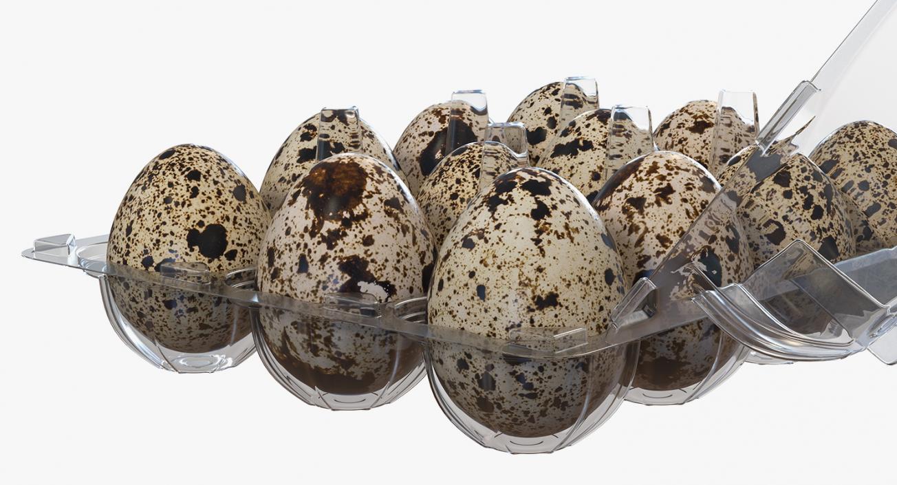 3D Eggs in Package 3D Models Collection