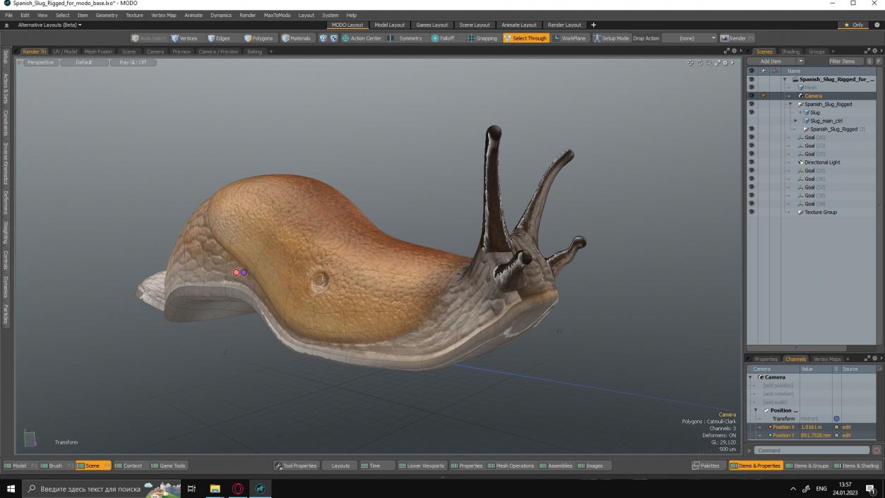 3D Spanish Slug Rigged for Modo model