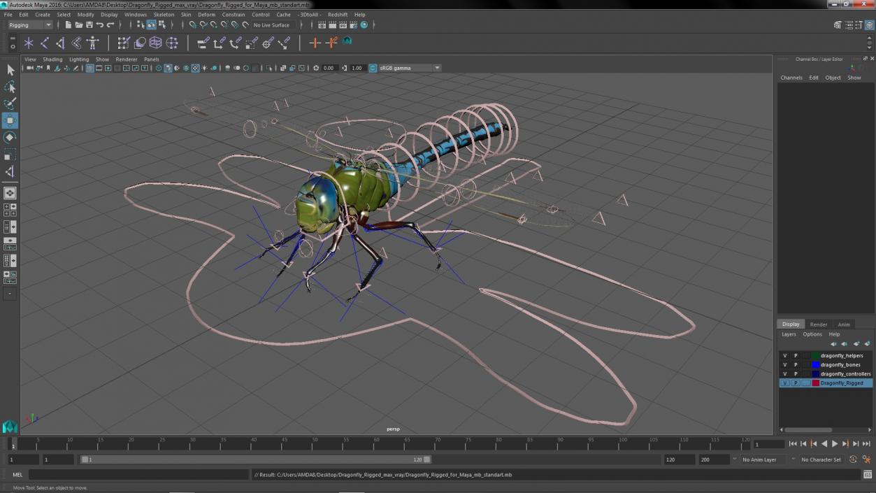 3D model Dragonfly Rigged for Maya