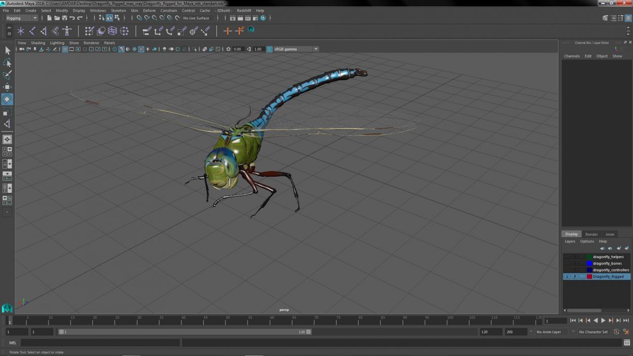 3D model Dragonfly Rigged for Maya