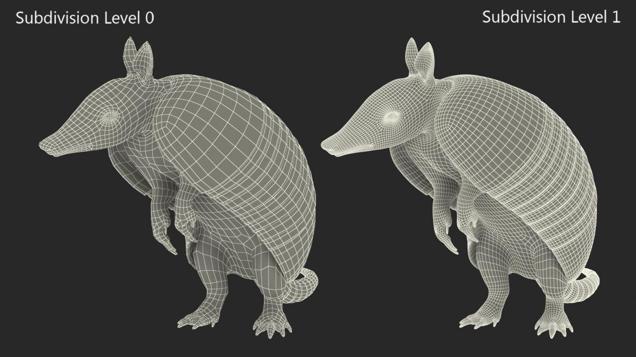 3D model Armadillo in Hind Legs Pose Black 2