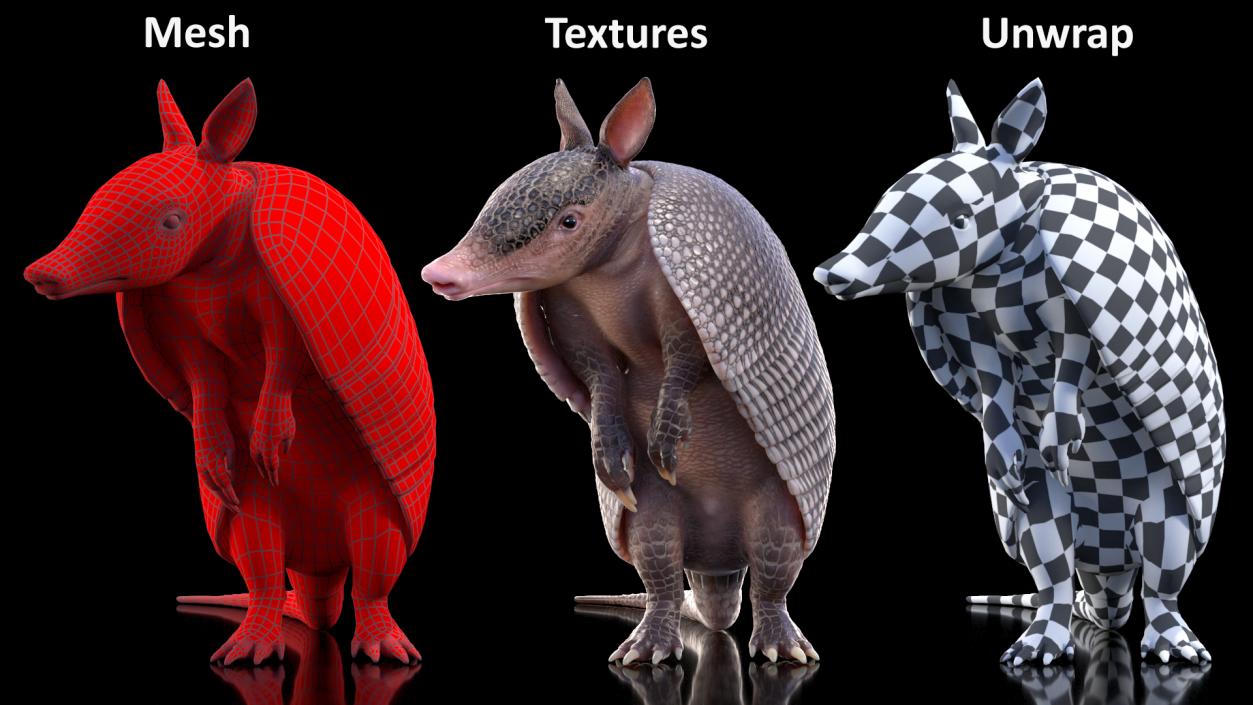 3D model Armadillo in Hind Legs Pose Black 2