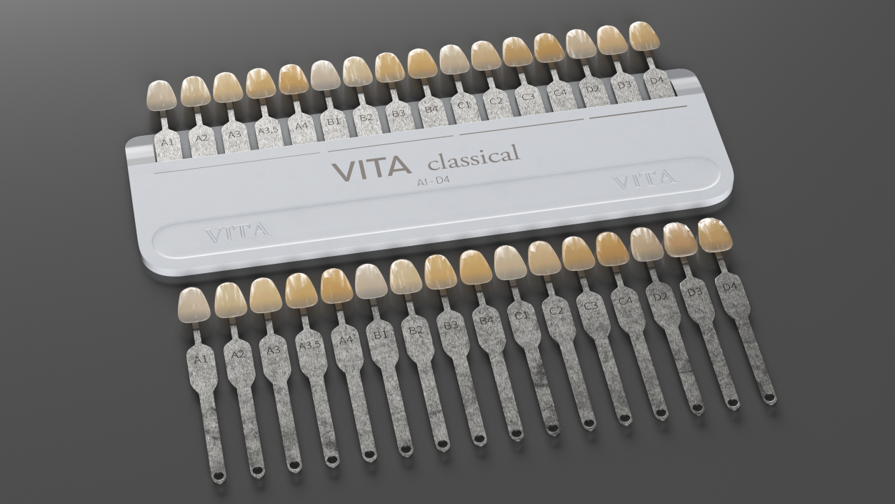 VITA Classical A1-D4 Shade Guide 3D