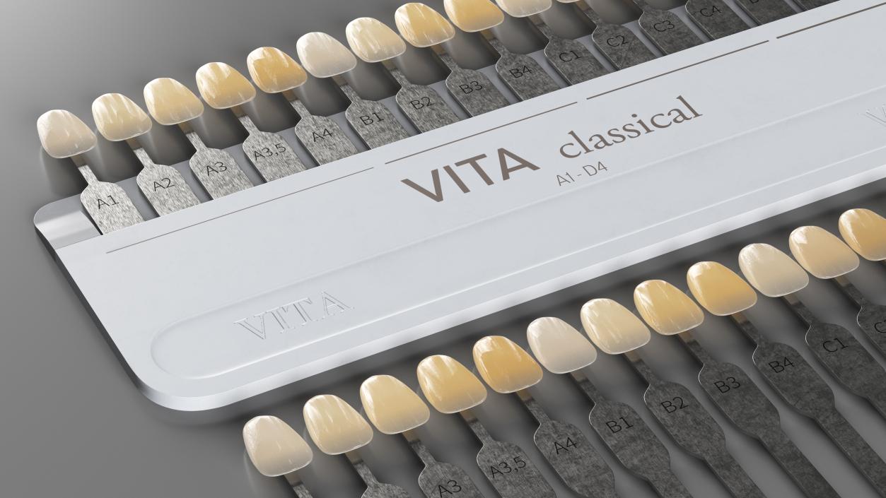 VITA Classical A1-D4 Shade Guide 3D