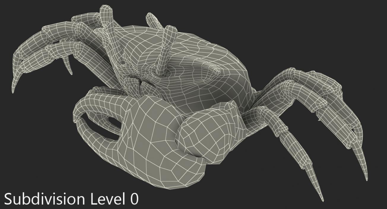 3D model Calling Crab Sitting Pose