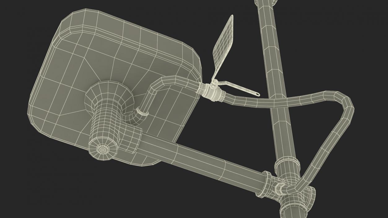 3D Human X Chromosome model