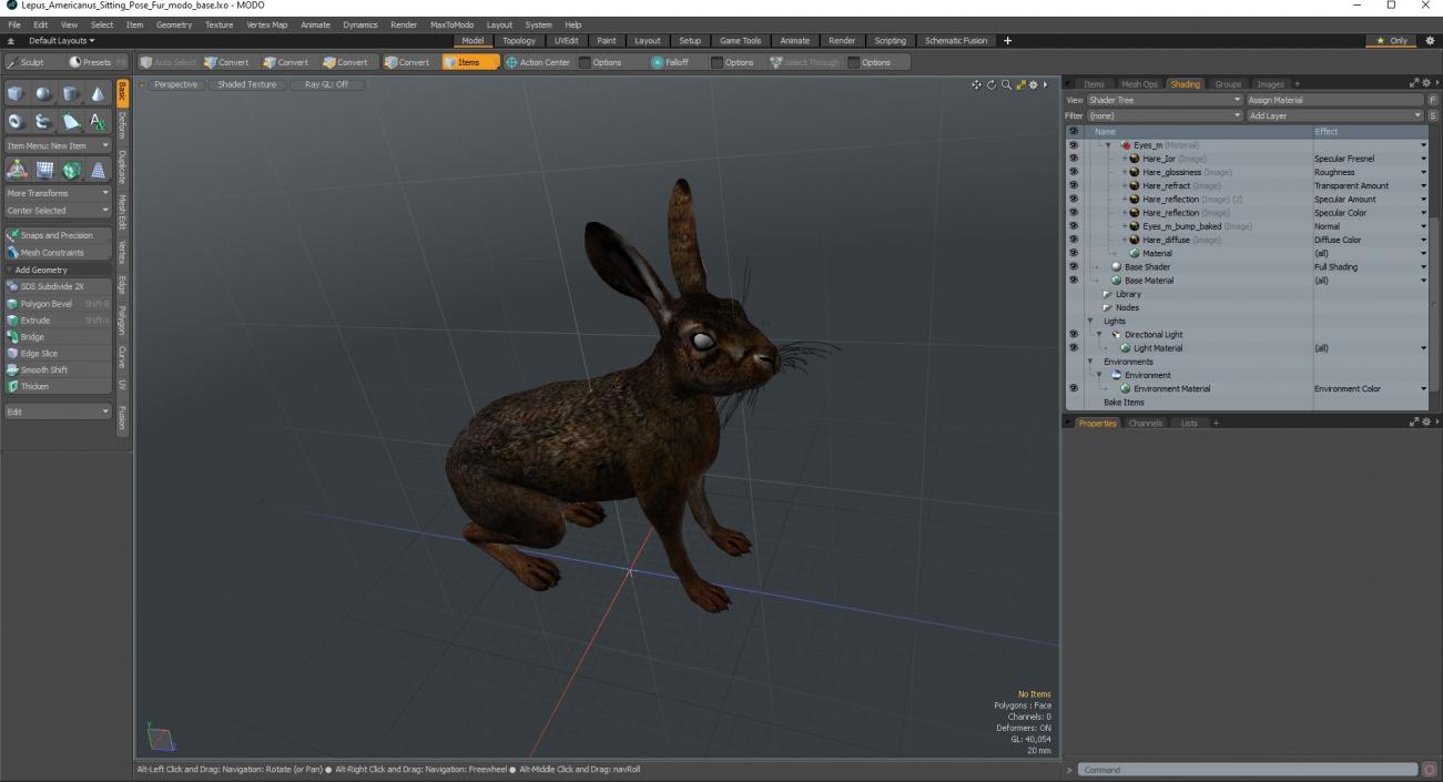 3D Lepus Americanus Sitting Pose Fur model