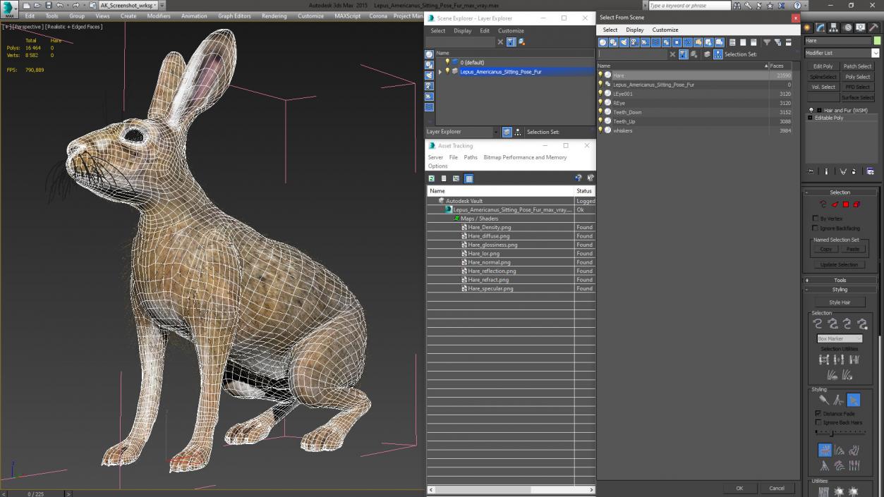 3D Lepus Americanus Sitting Pose Fur model