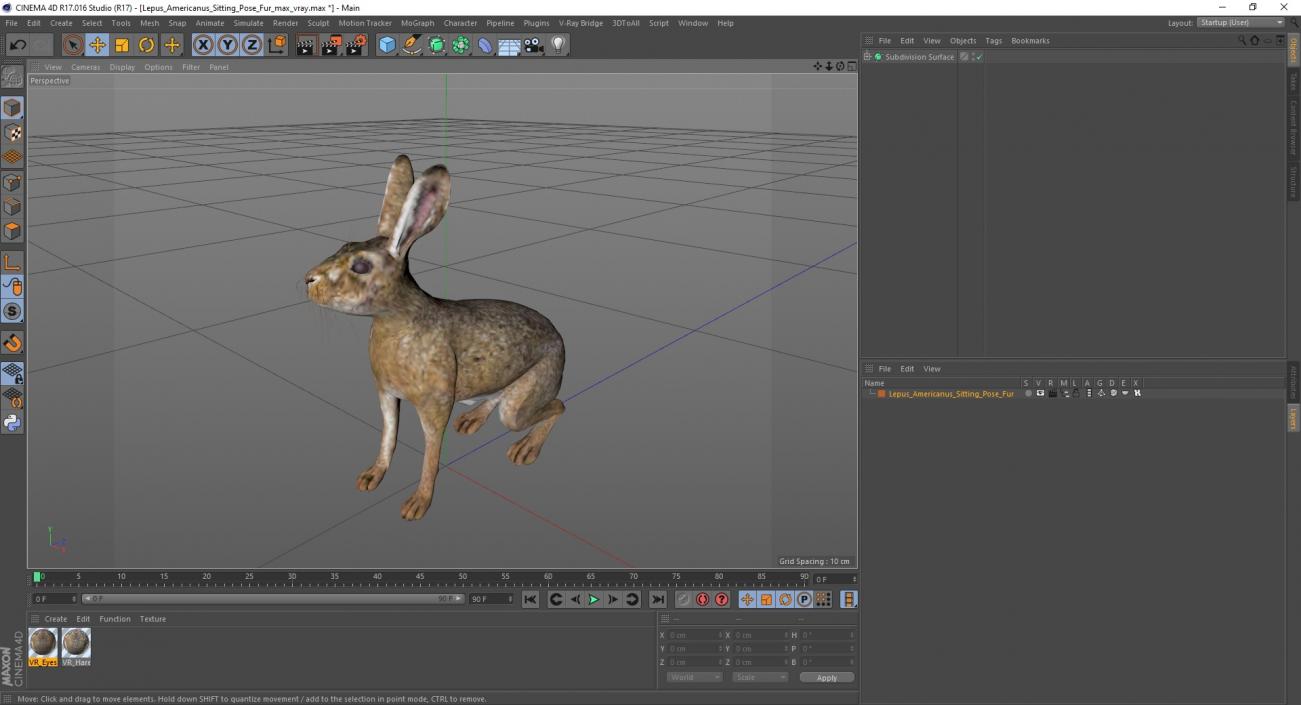 3D Lepus Americanus Sitting Pose Fur model