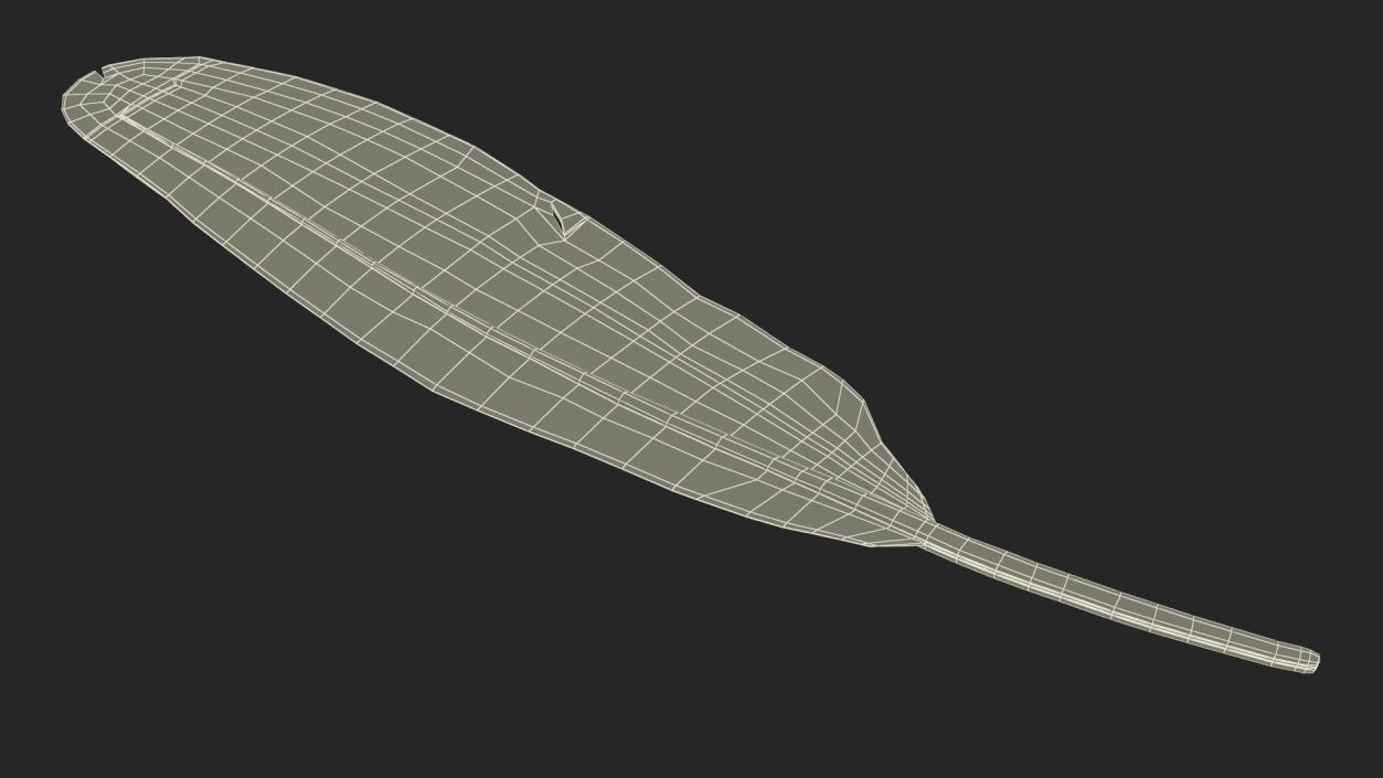 3D Amazon Parrot Feather 2 model