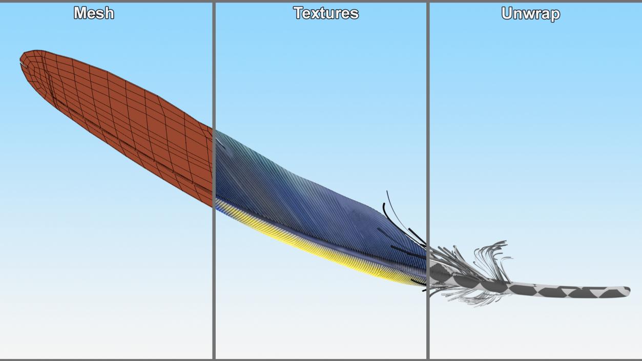 3D Amazon Parrot Feather 2 model