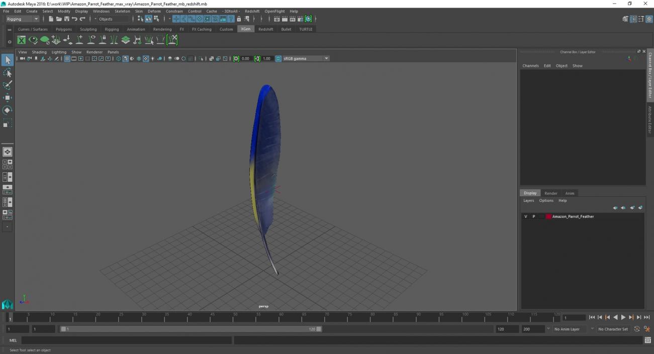 3D Amazon Parrot Feather 2 model