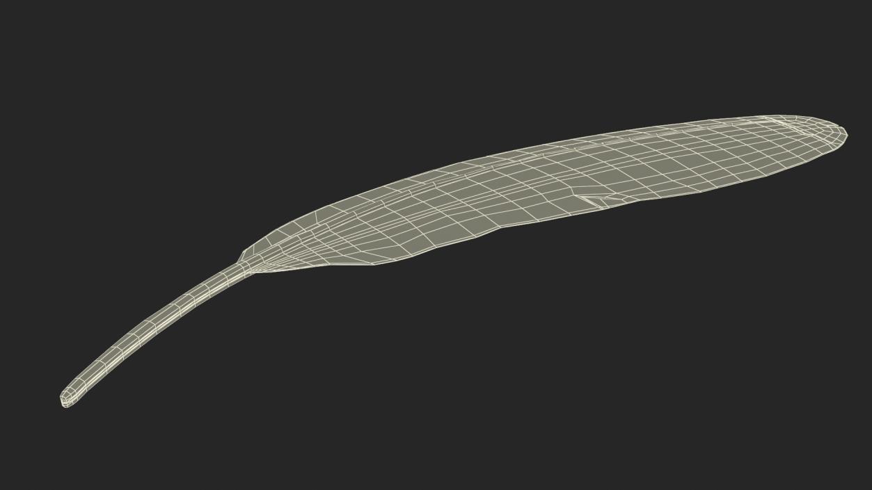 3D Amazon Parrot Feather 2 model